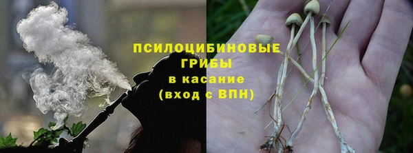 прущие грибы Белоозёрский
