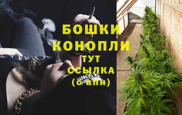spice Беломорск