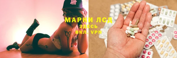 прущие грибы Белоозёрский