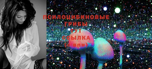 spice Беломорск