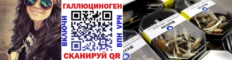 Галлюциногенные грибы мицелий  Мариинский Посад 